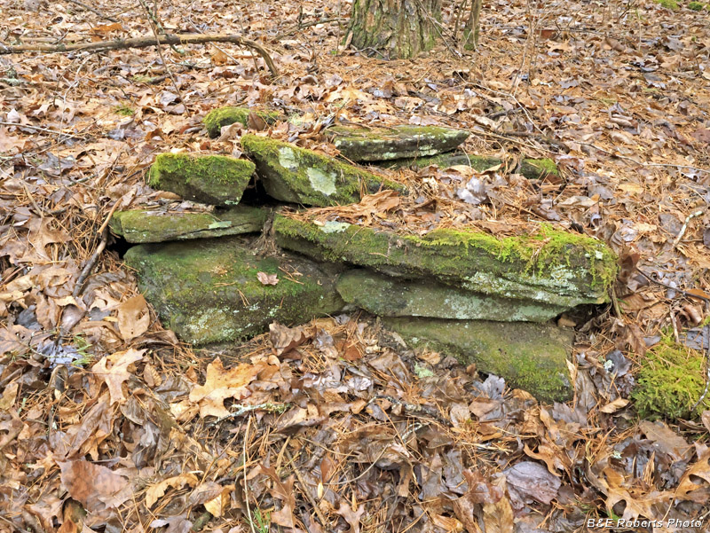 Rock_stacked