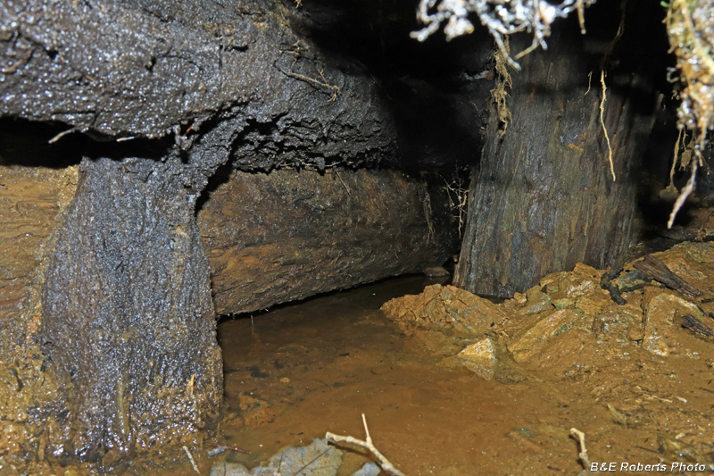 Flooded_Herbert_adit